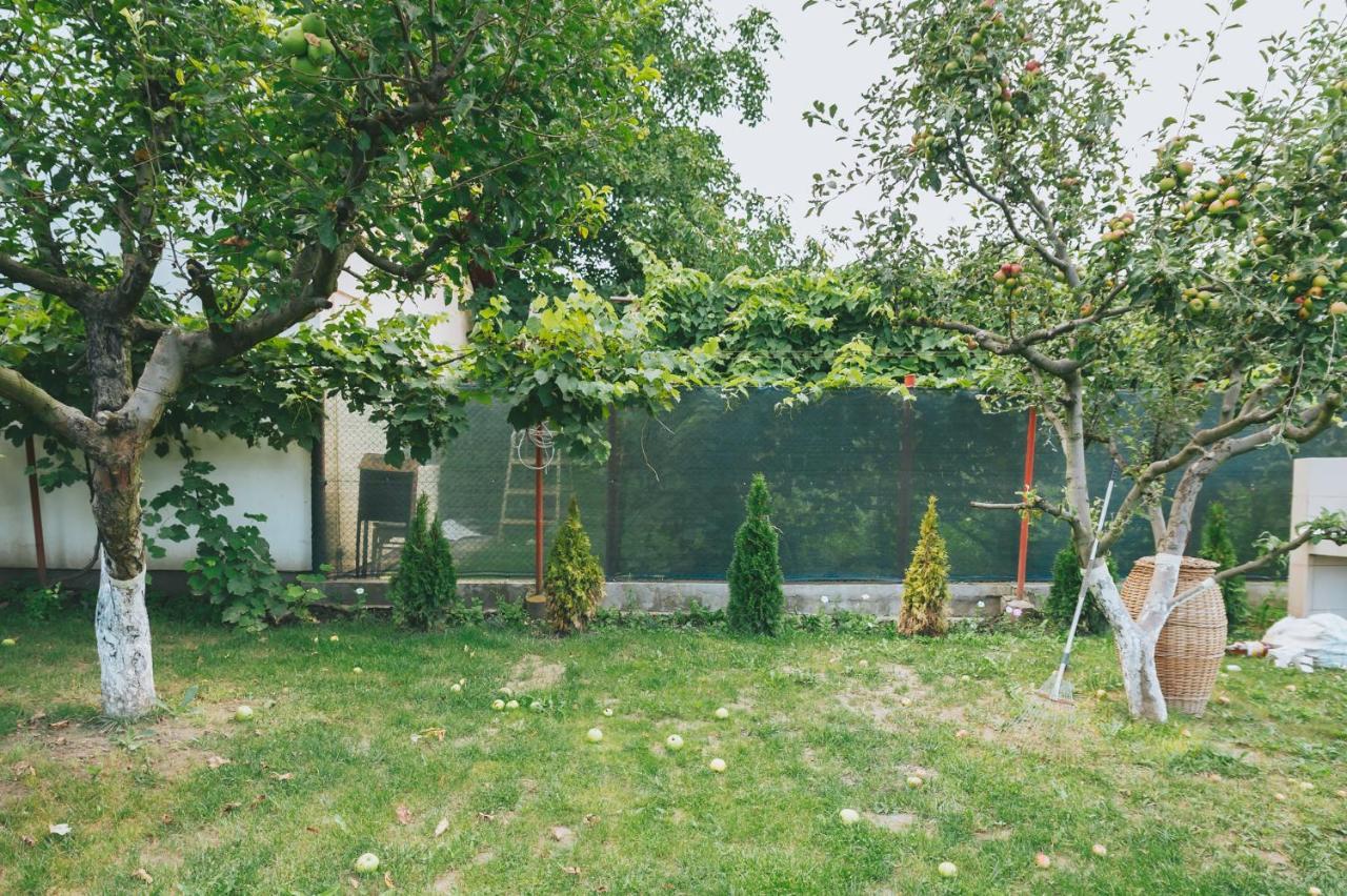 Casa Vinco Vici Hotel Turda Exterior foto